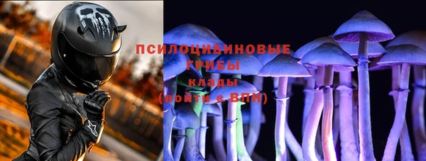 ешки Алексин
