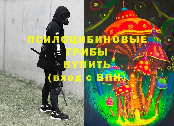 ешки Алексин