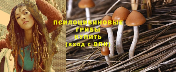 героин Алзамай