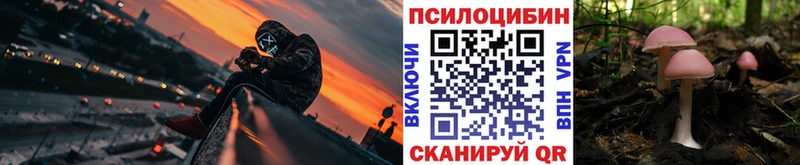 OMG маркетплейс Куса Псилоцибиновые грибы MAGIC MUSHROOMS сколько стоит