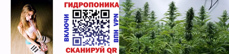 наркота Куса Каннабис конопля